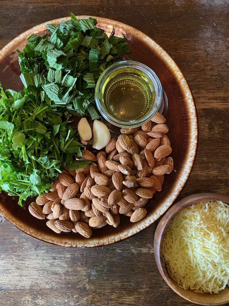 Chopped up Chickweed and Nettles, 2 cloves of garlic, 1/2 cup of avocado oil, and almonds on a brown ware plate and a wooden bowl of parmesan cheese on a wooden table
